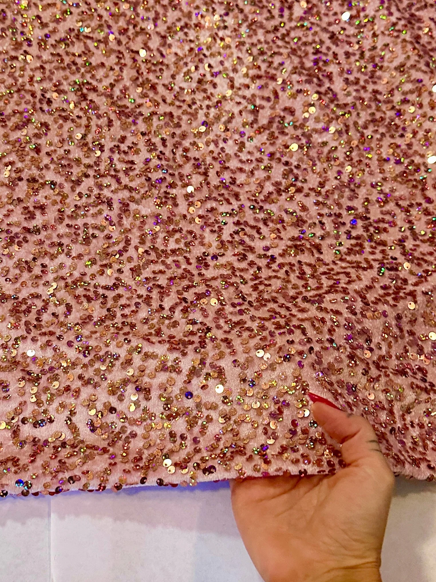 Blush Iridescent Sequins Velvet - Image 4