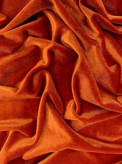 Burnt Orange Stretch Velvet - Image 4