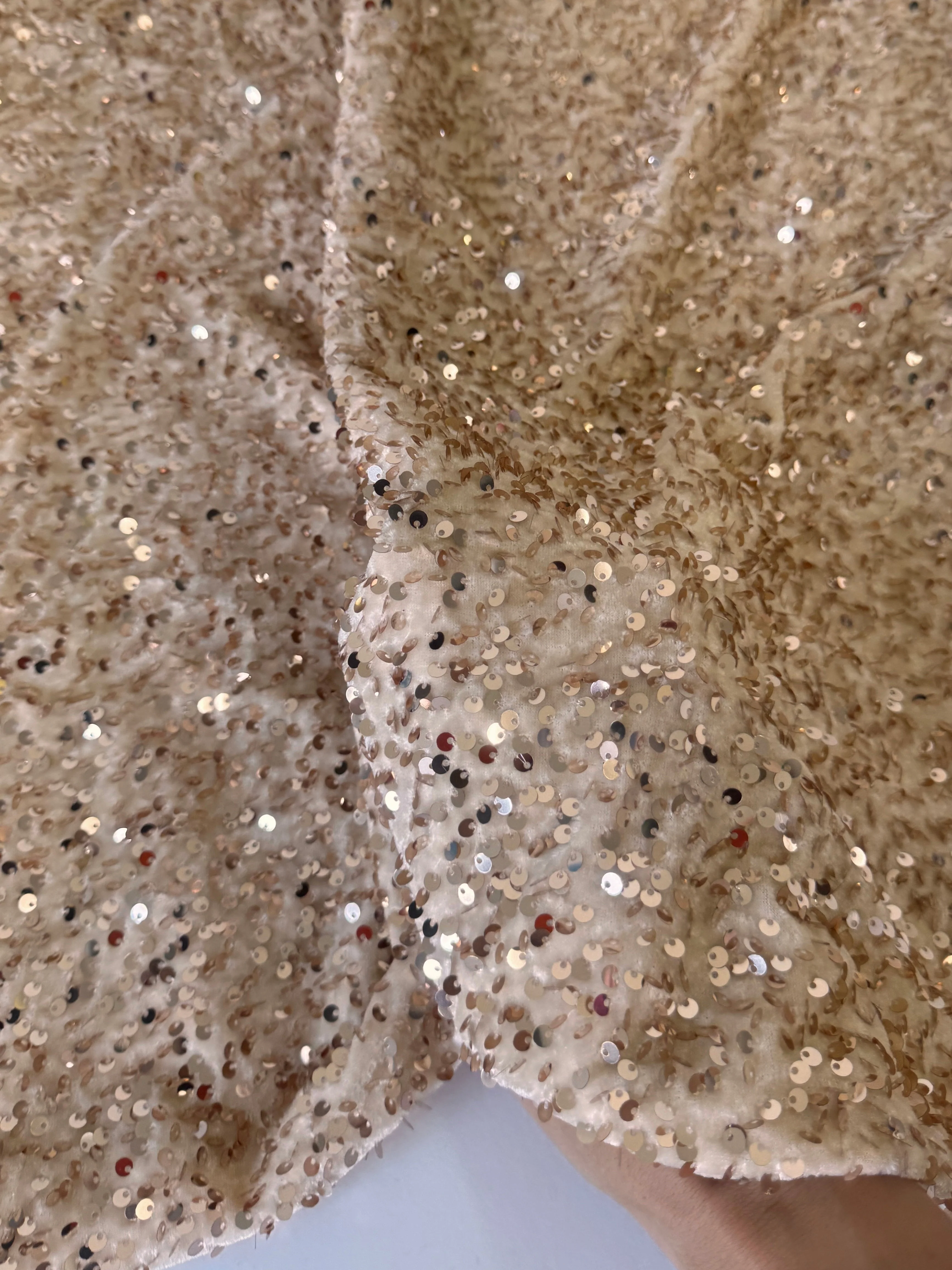 Cream Champagne Sequins Velvet - Image 3