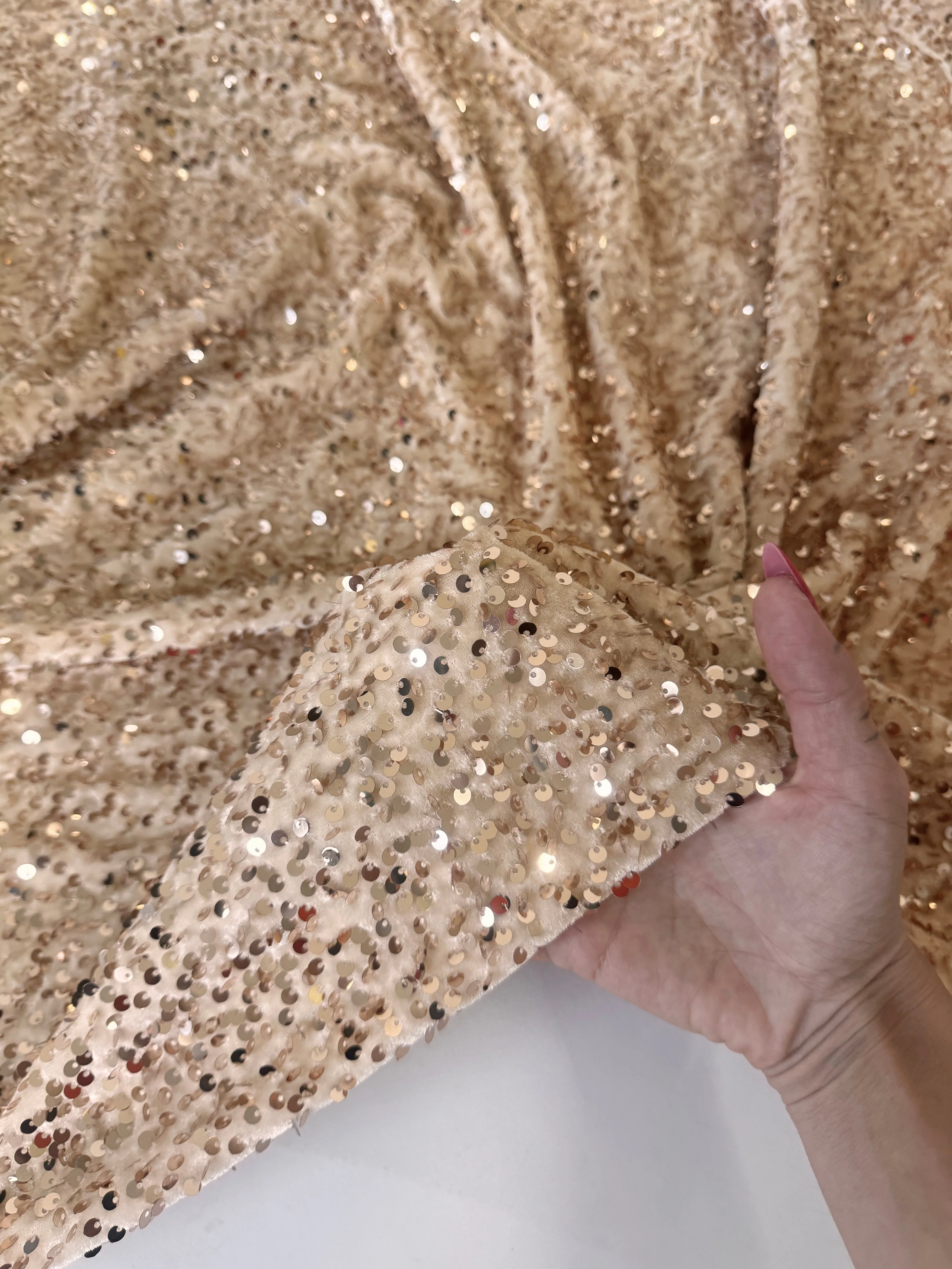 Cream Champagne Sequins Velvet - Image 5