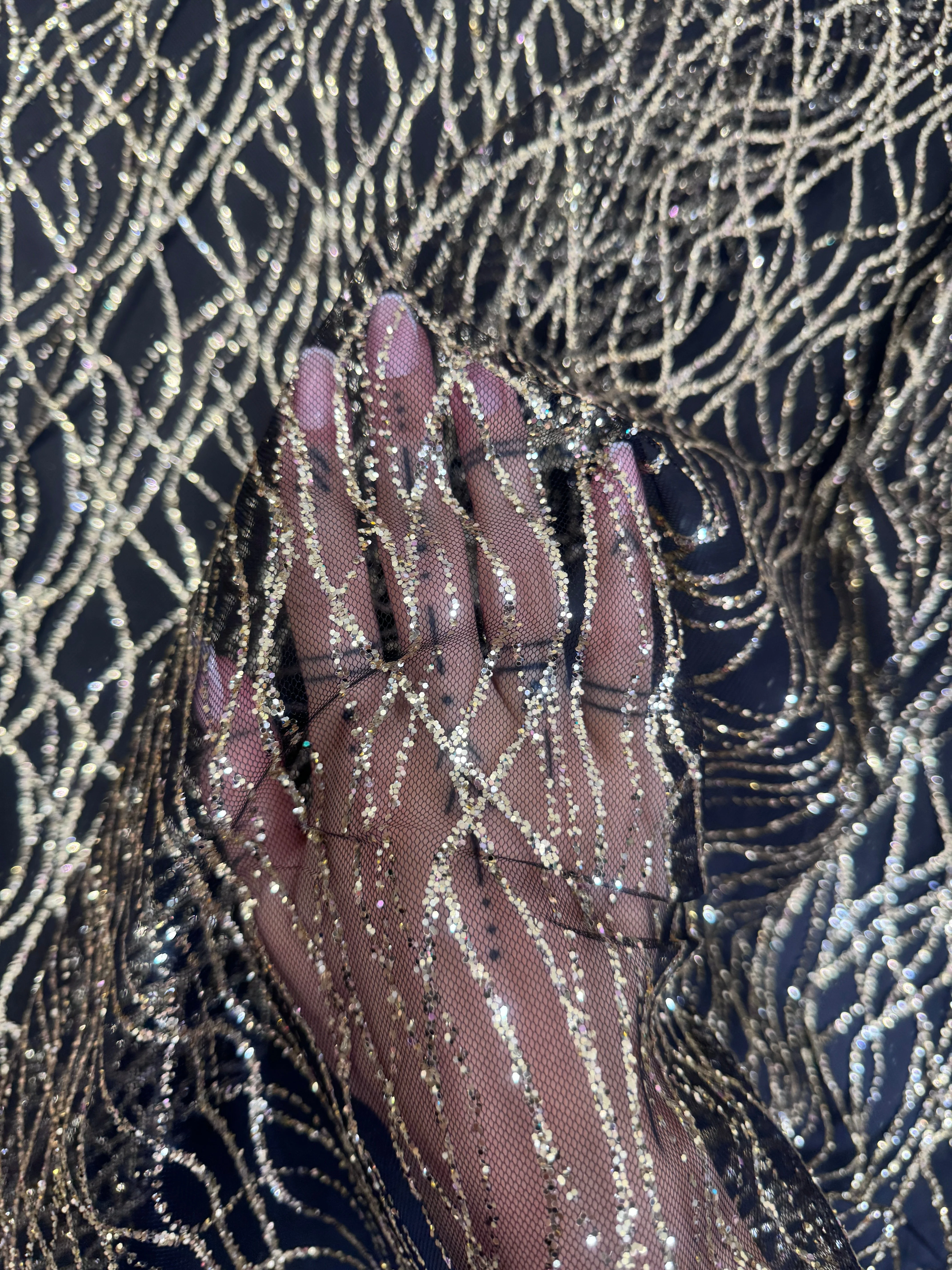 Gold Glitter Lace on Black Mesh - Image 3