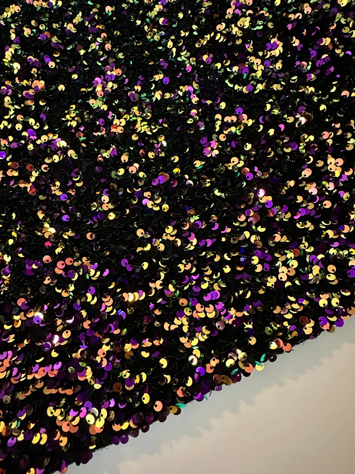 Iridescent Sequin on Velvet - Image 10