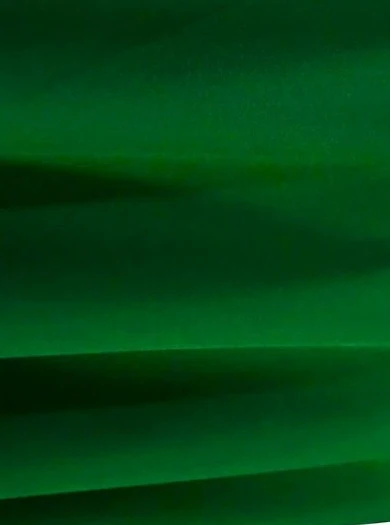 Kelly Green Poly Poplin - Image 2