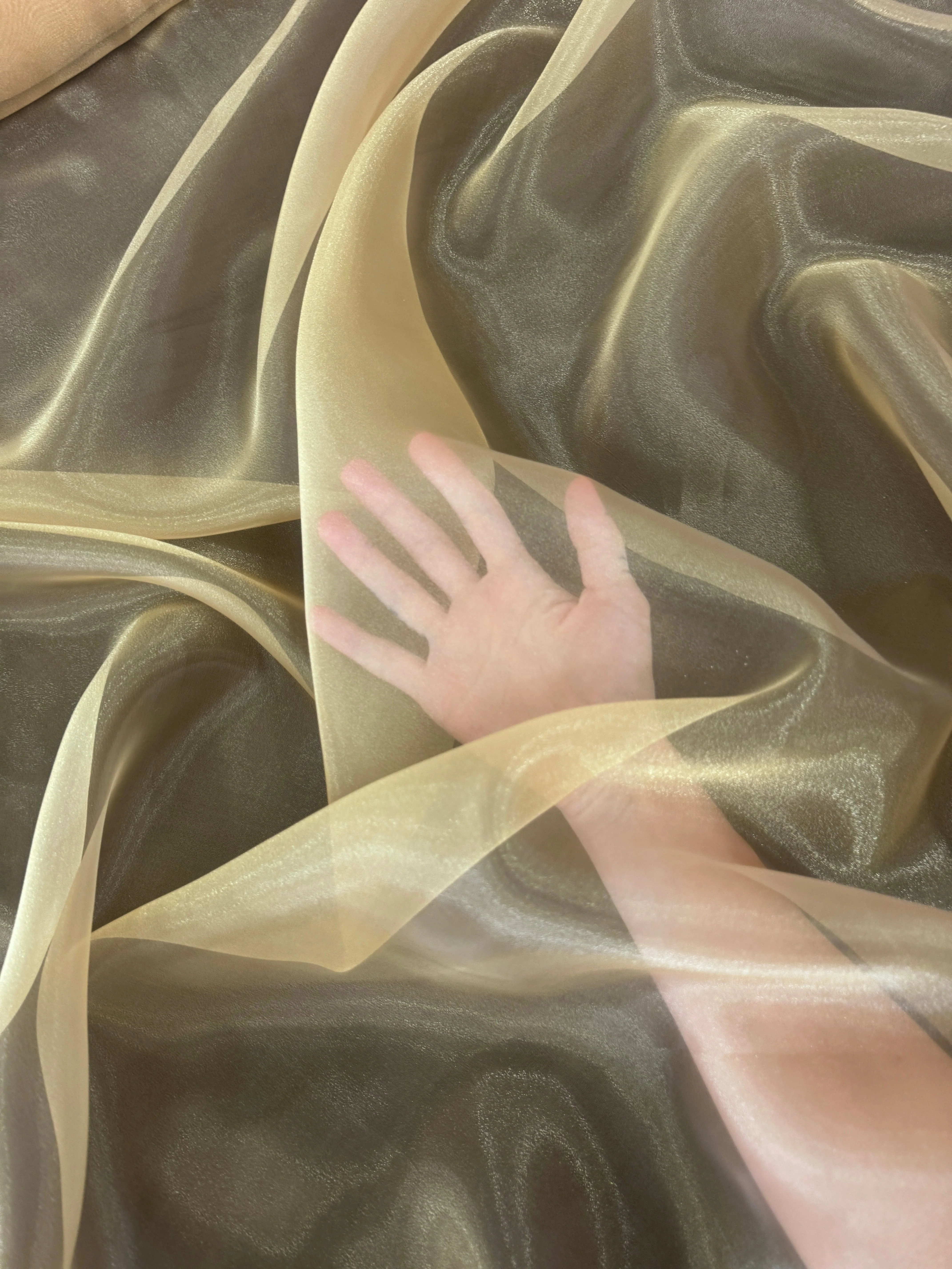 Khaki Crystal Organza - Image 3