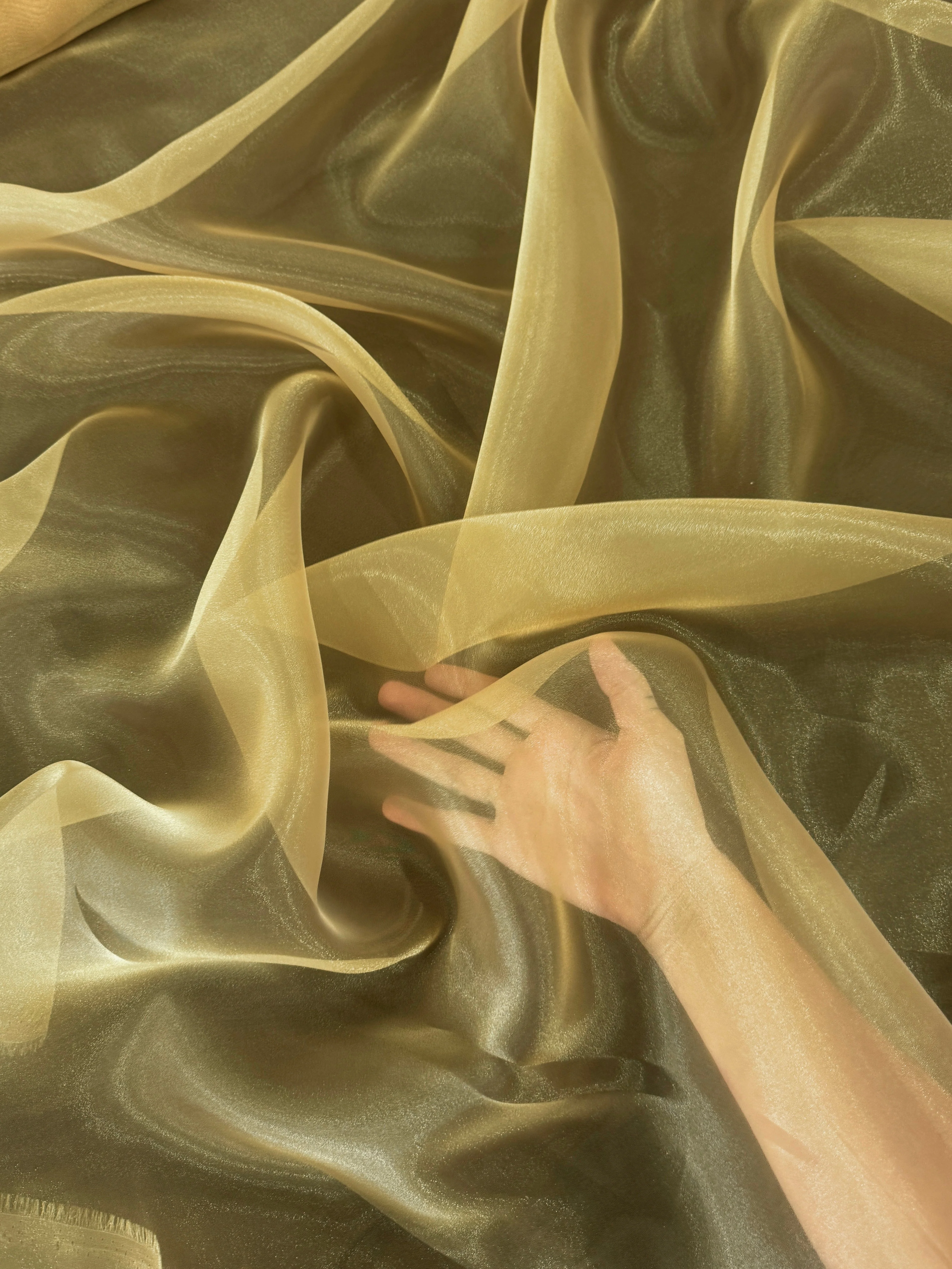 Khaki Crystal Organza - Image 6