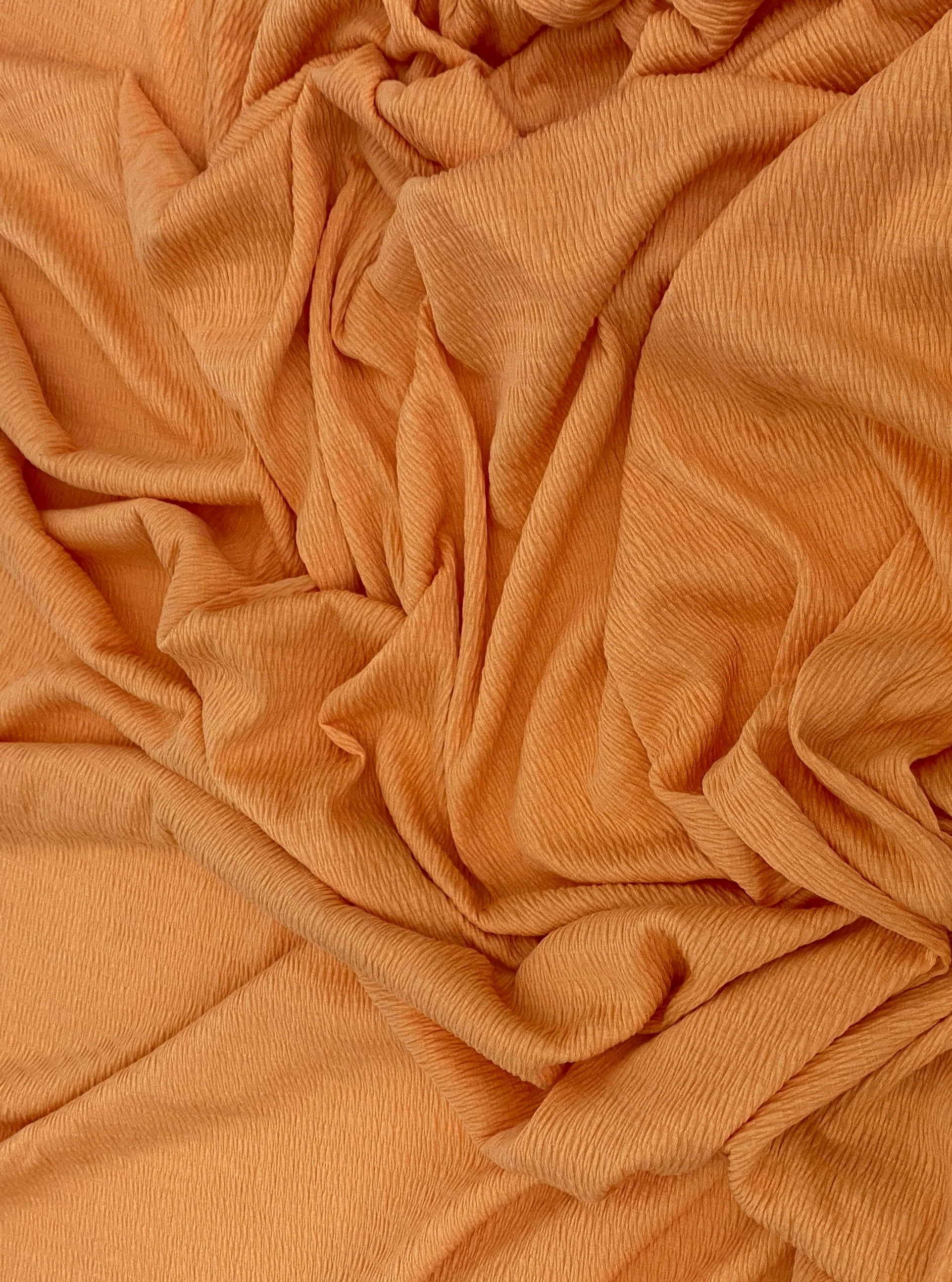 Orange Bullet Textured Knit