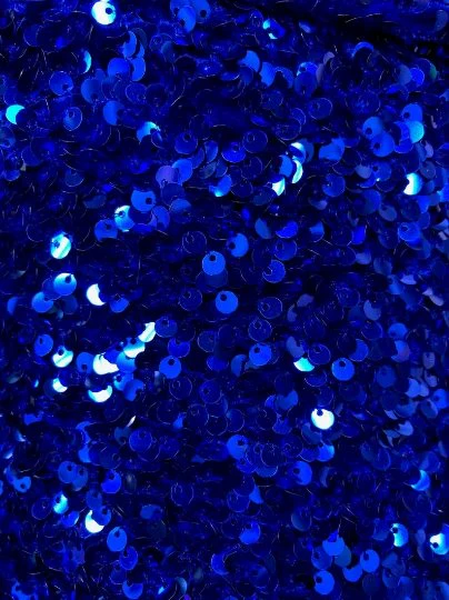 Royal Blue Sequin on Velvet - Image 5