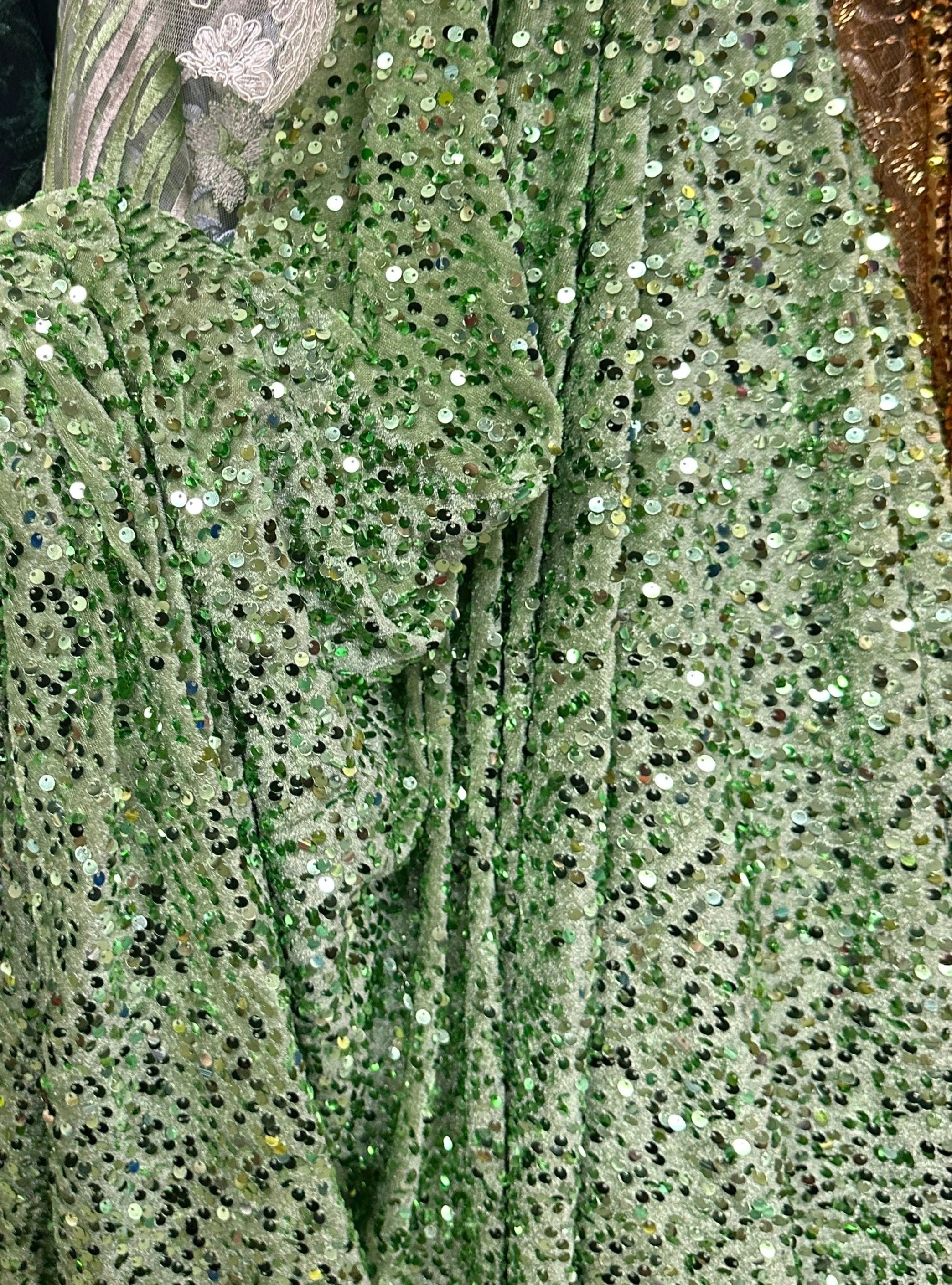 Sage Green Sequins Velvet - Image 7