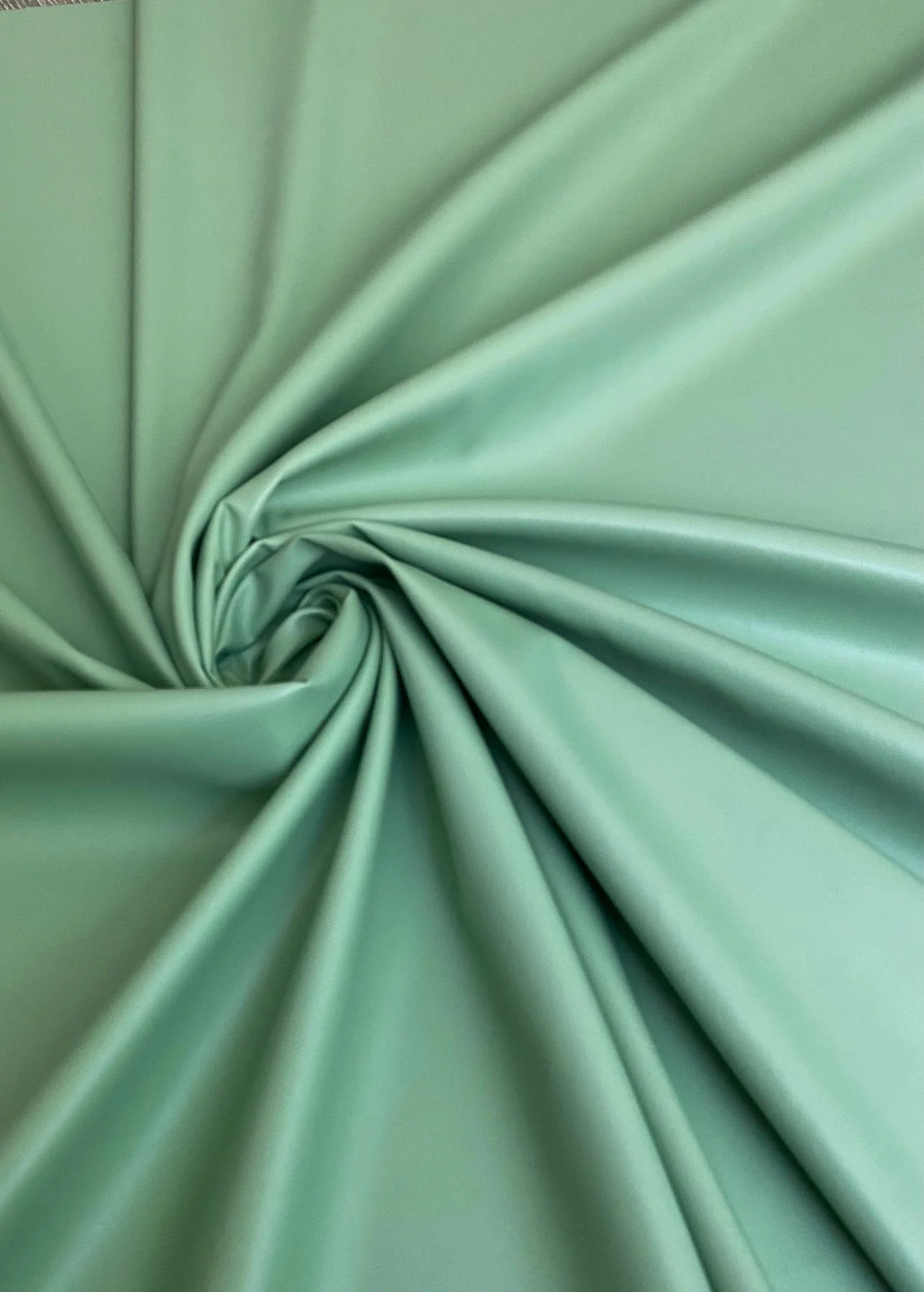 Sage Green Stretch Faux Leather - Image 2