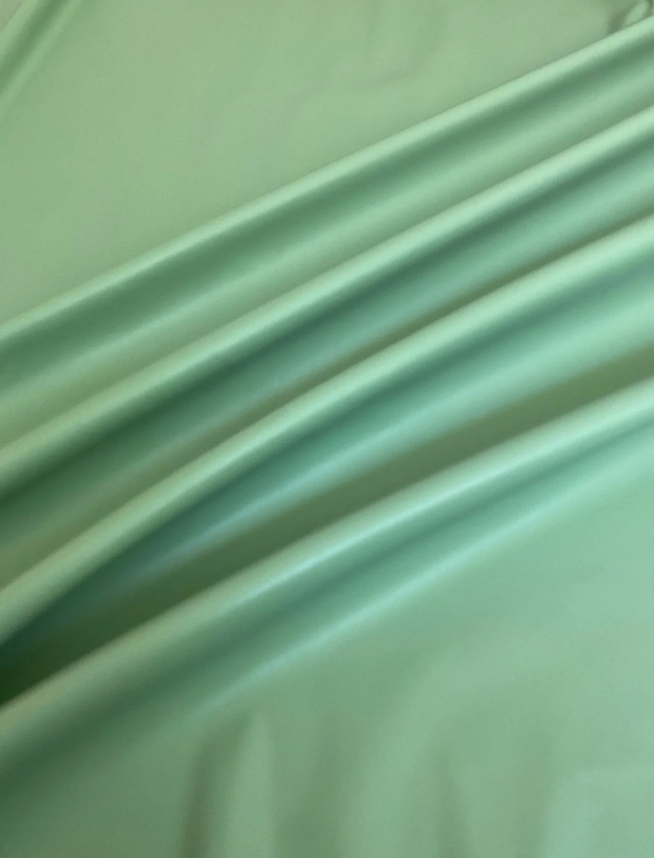Sage Green Stretch Faux Leather - Image 8