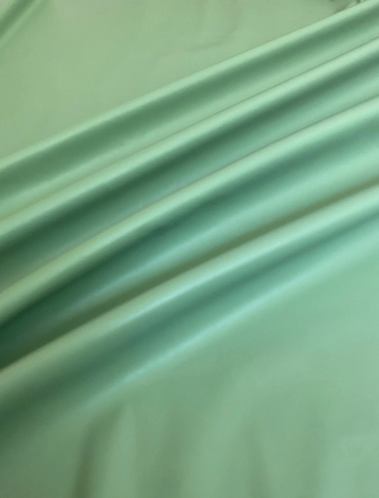 Sage Green Stretch Faux Leather - Image 9