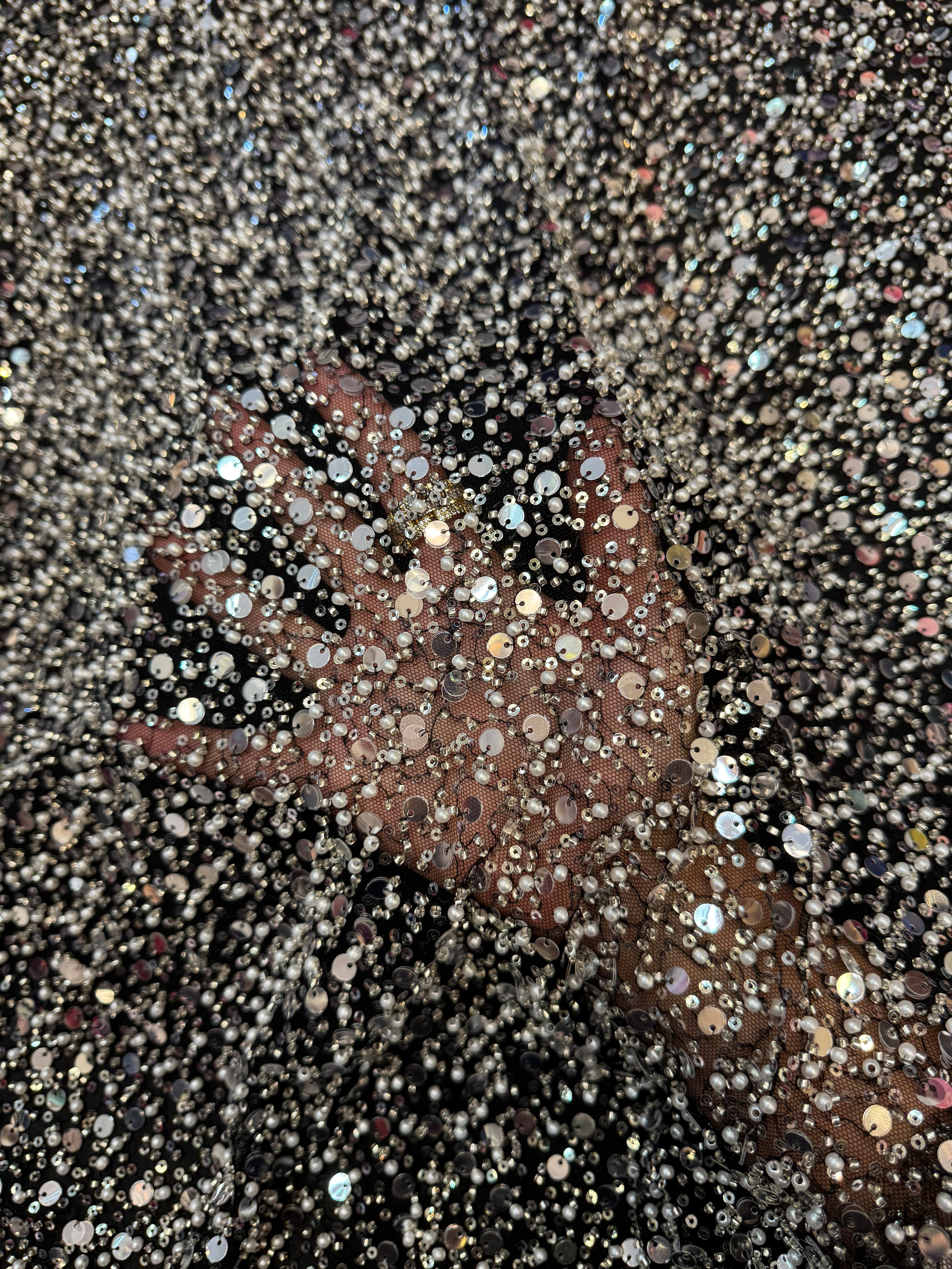 Silver Beaded Sequin Pearl Embroidered Mesh Lace - Image 7