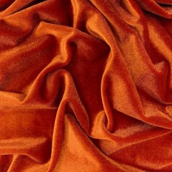 Stretch Velvet - Image 3