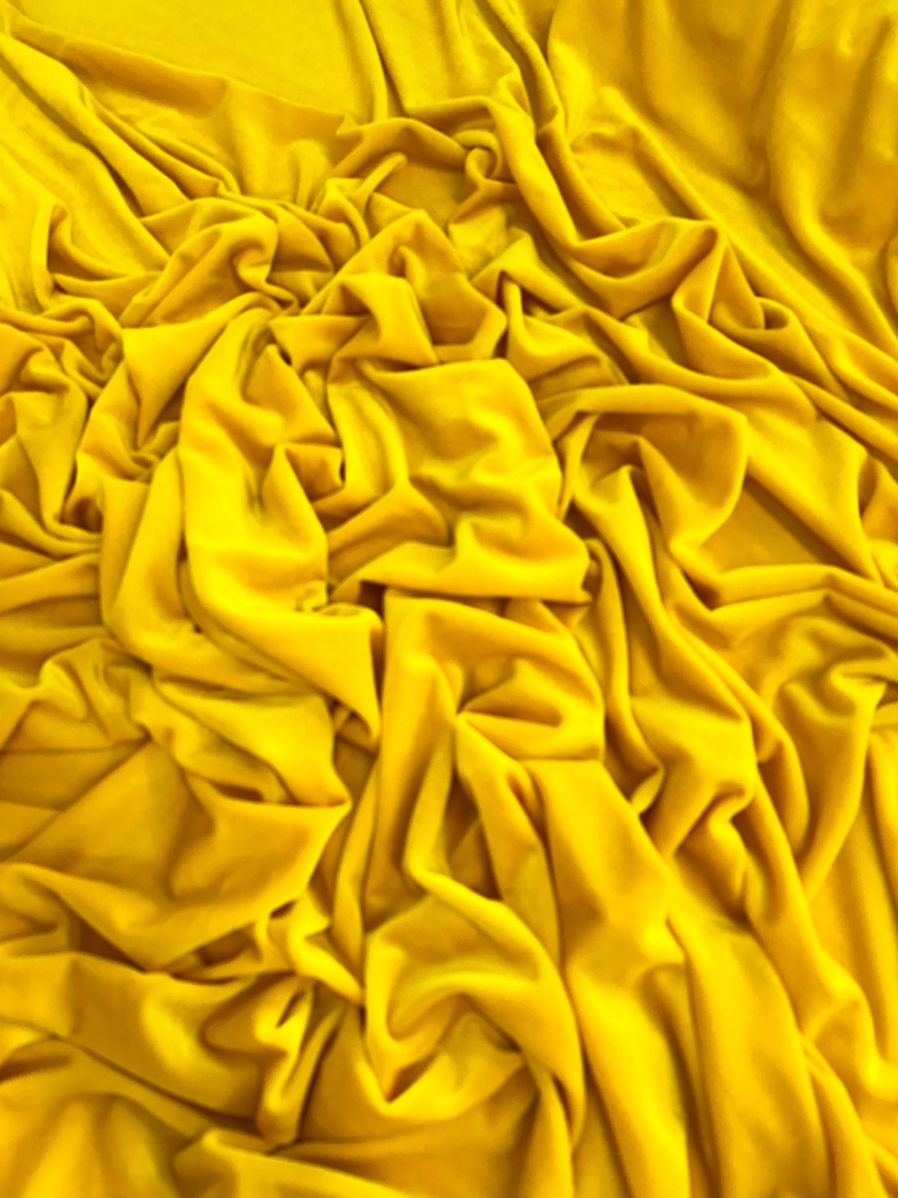 Yellow Stretch Velvet - Image 5